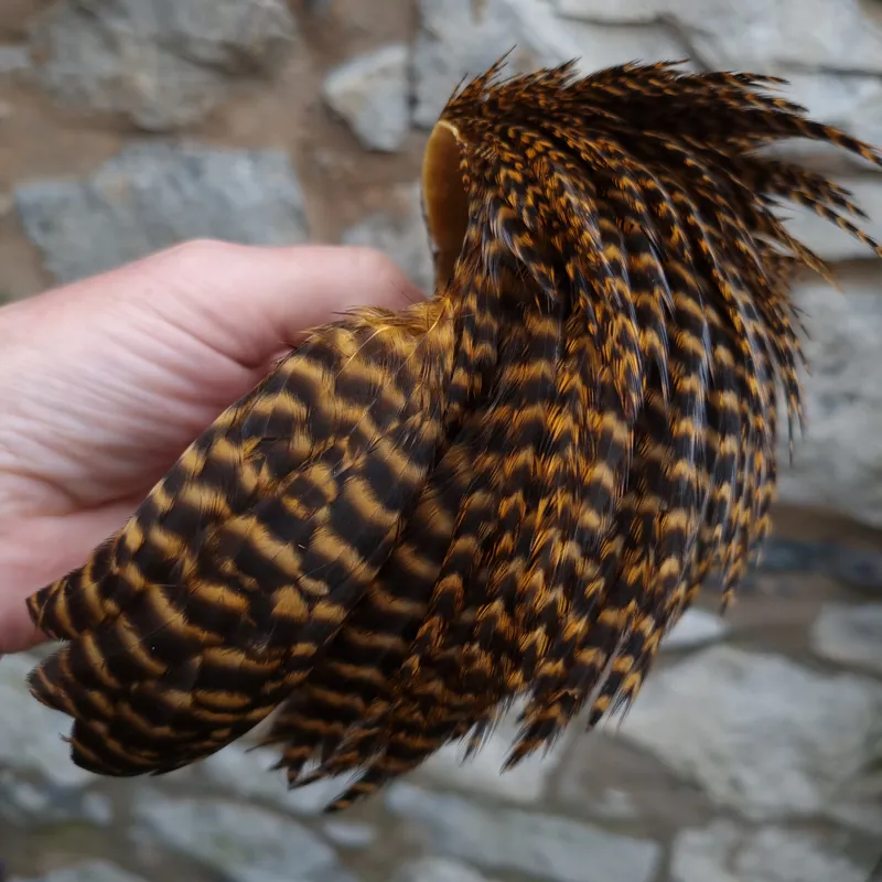 Whiting Exclusive Grizzly Hen Cape in Ginger